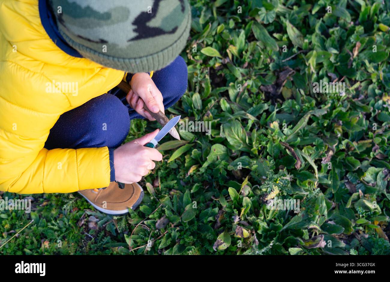 Junge, der einen Holzstock mit einem Taschenmesser schärft und in der Natur Buschhandwerkskunst praktiziert Stockfoto