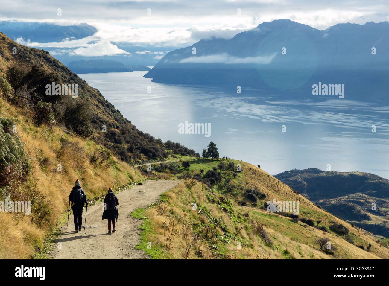 Zwei Wanderer auf dem Roy Peak Track in Richtung Lake Wanaka, Otago, Neuseeland Stockfoto