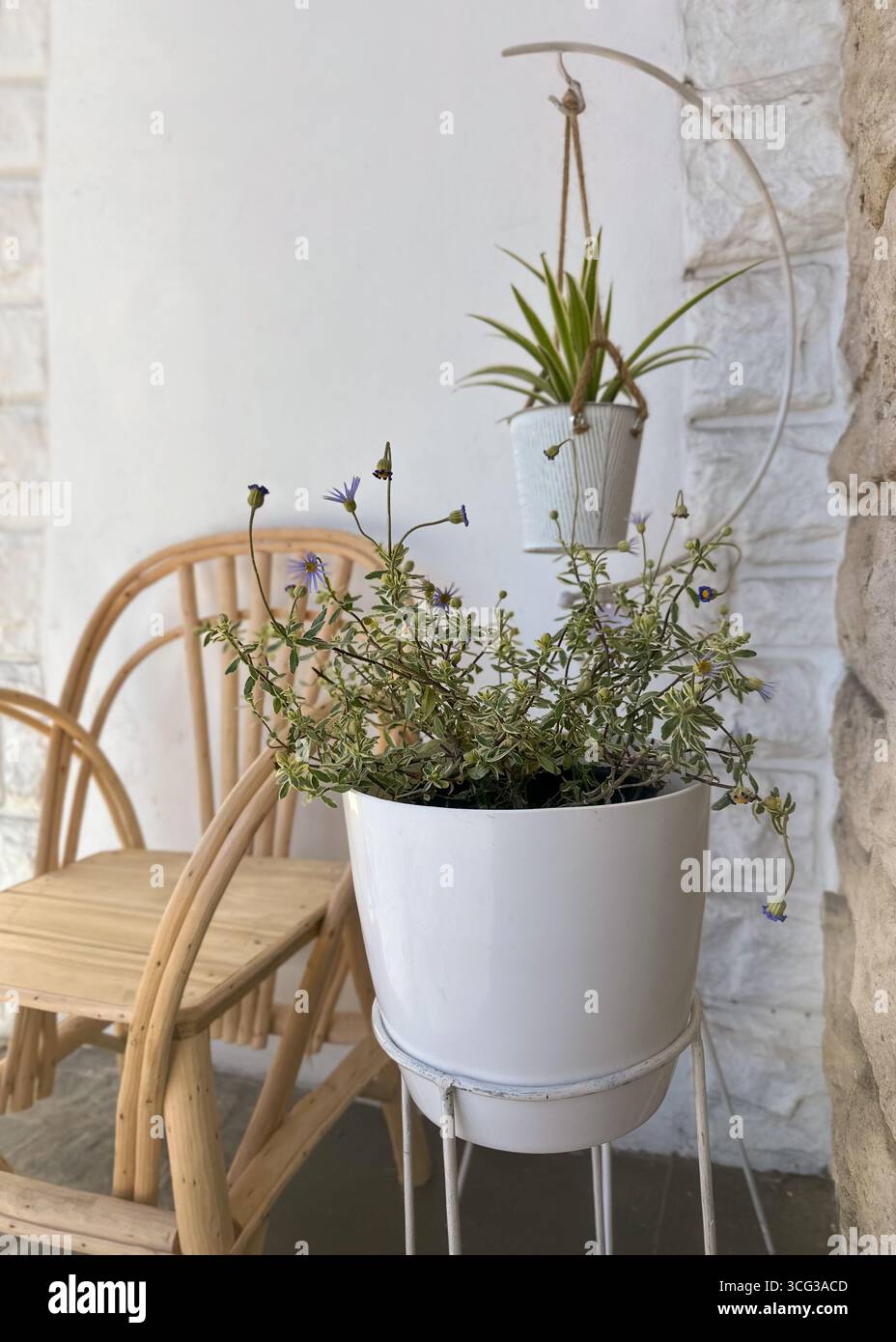 Gemütliche, minimalistische Boho-Terrasse mit Topfpflanzen und Bugholzsessel an einer Steinmauer. Konzepte der Heimgärtnerei, Entspannung und Umweltfreundlichkeit l Stockfoto