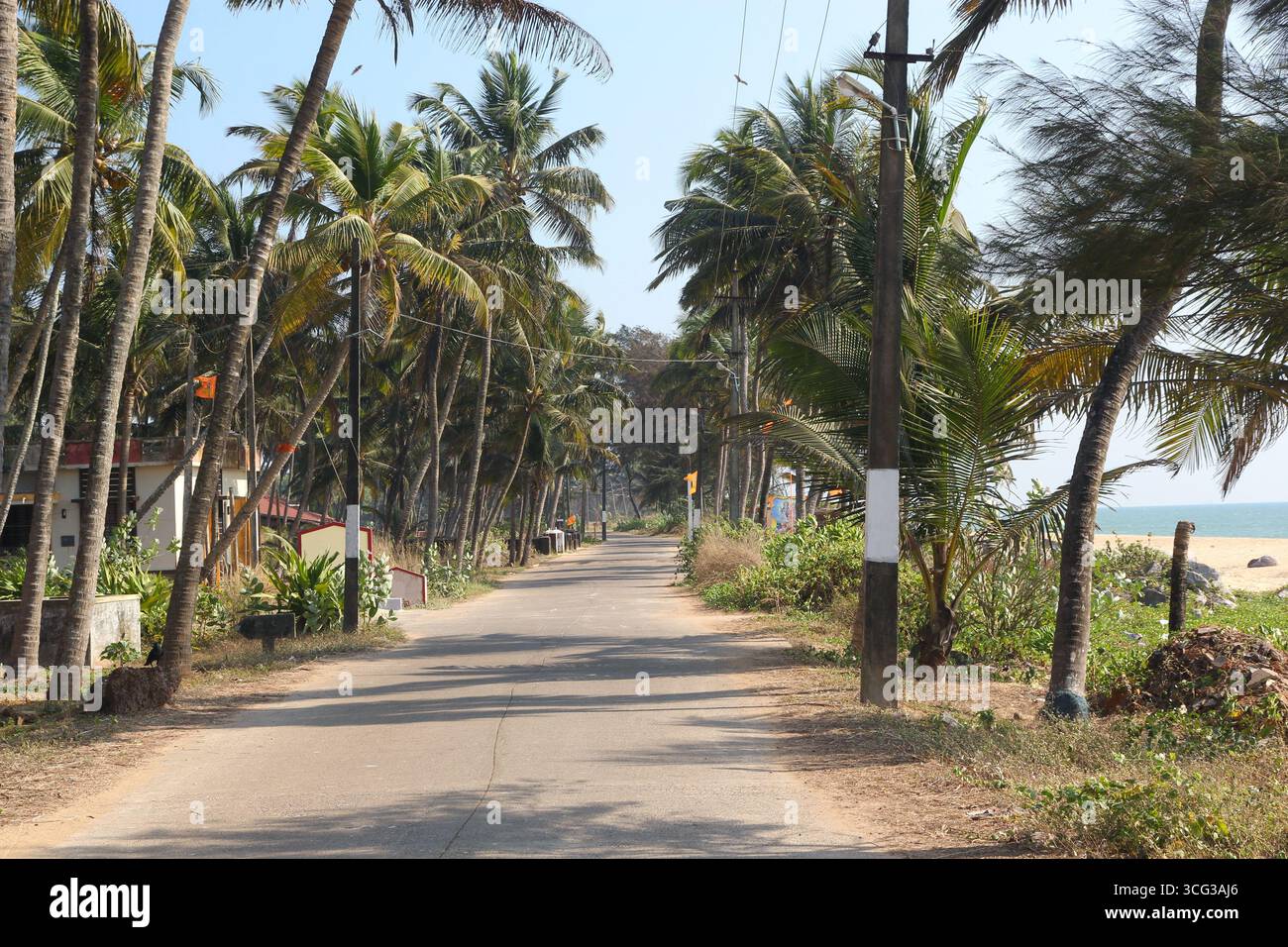 Malerische Straße mit Palmen entlang eines Sandstrandes (Udupi, Indien) Stockfoto