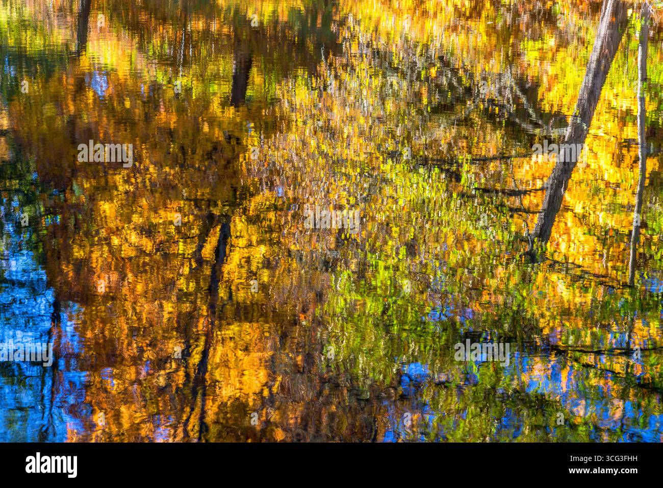 Bäume spiegeln sich im Wasser in Herbstfarben Stockfoto
