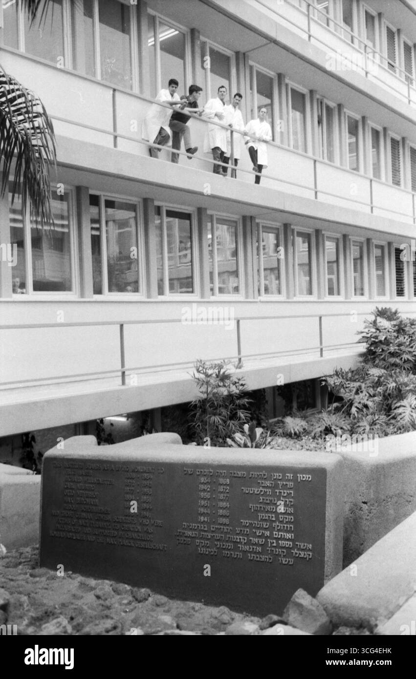 Fünf Studenten eines Instituts der Hebräischen Universität Jerusalem stehen im ersten Stock eines Gebäudes. Unten vor ihnen befindet sich ein Denkmalstein mit der Aufschrift: "Dieses Institut ist ein lebendiges Denkmal für Fritz Haber, Reinhard Willstätter, Carl Neuberg, Otto Meyerhof, Max Bergmann, Rudolf Schönheimer und all jene deutsch-jüdischen Wissenschaftler, die Opfer des nationalsozialistischen Deutschlands wurden. Seine Gründung wurde von Konrad Adenauer und der Max-Planck-Gesellschaft gefördert und unterstützt." Israel, Mai 1966. Stockfoto