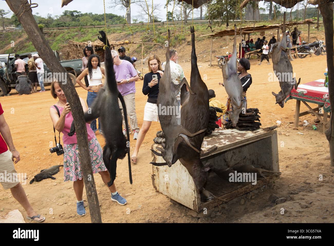 Touristen fotografieren Wilderaffen und Antilopen auf einem Straßenmarkt in der Nähe von Dondo, Provinz Bengo, Angola Stockfoto