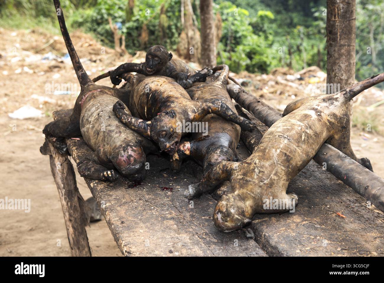 Geflüchtete, geflammte Affen werden auf einem Straßenmarkt in der Nähe von Dondo in der Provinz Bengo, Angola, verkauft Stockfoto