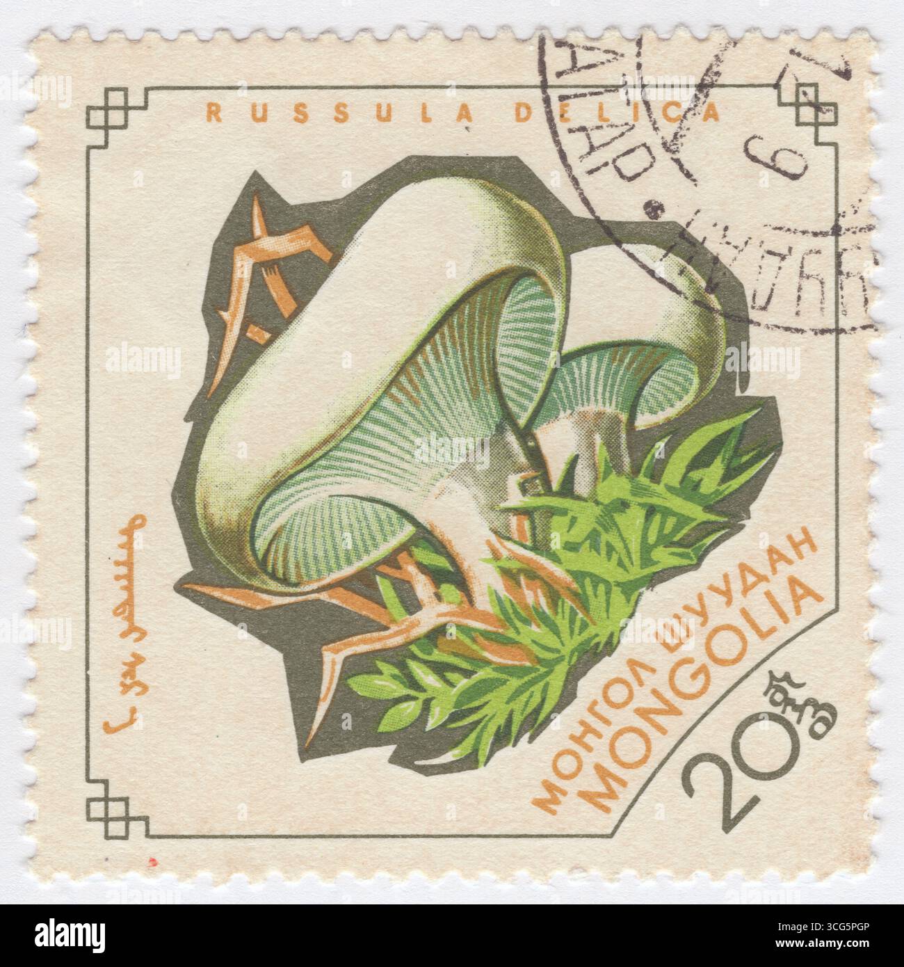 MONGOLEI - 1. Januar 1964: 20 möngö mehrfarbige Briefmarke mit Pilzen: Russula Delica, ein Pilz, der unter dem gebräuchlichen Namen „milchweiße Sprödlinge“ stammt und zur Gattung Russula gehört, die alle als Sprödlinge bezeichnet werden. Er ist meist weiß, mit ockerfarbenen oder bräunlichen Kappenmarkierungen und einem kurzen, robusten Stiel. Es ist essbar, aber geschmacksarm und wächst in Nadel-, Laub- oder Mischwäldern. Sie kann mit anderen weißen Russula-Arten und bestimmten weißen Lactarius-Arten verwechselt werden Stockfoto