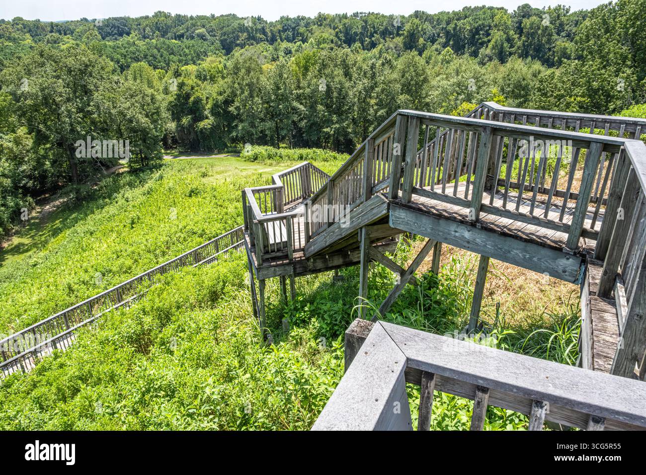 Treppen zum Great Temple Mound im Ocmulgee Mounds National Historical Park in Macon, Georgia. (USA) Stockfoto