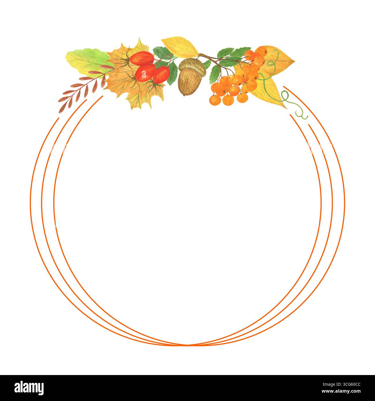 Herbst Elemente Anordnung dünner runder Rahmen rowan, Hagebutte, Blätter, Eichel, saisonaler Herbst Urlaub Aquarell Blumenkunst Illustration für Halloween, danke Stockfoto
