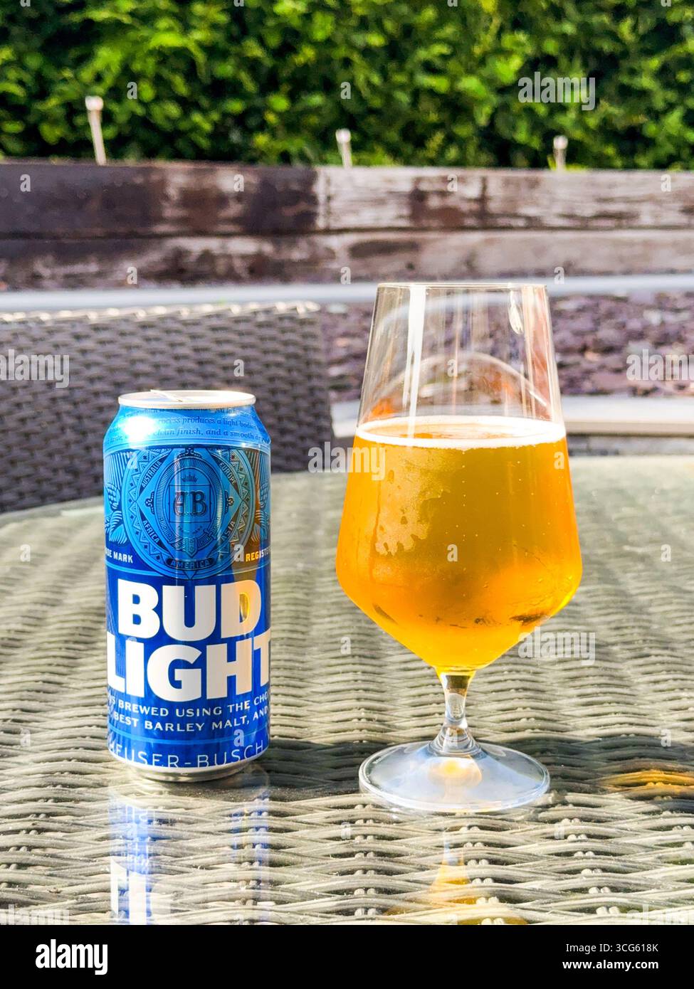 Cardiff, Wales, Großbritannien - 19. Juni 2025: Offene Dose und Glas voll Bud Light Lagerbier auf einem Tisch im Garten eines Hauses. - Smartphone-aufgenommenes Stockfoto