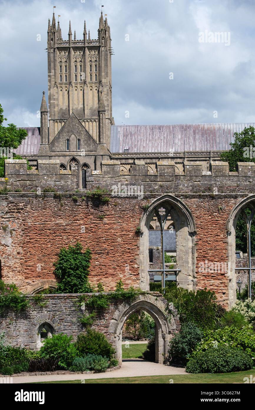 Wells, Somerset, England, UK Bishop's Palace Ruinen der Großen Halle, 13. Jahrhundert. Stockfoto