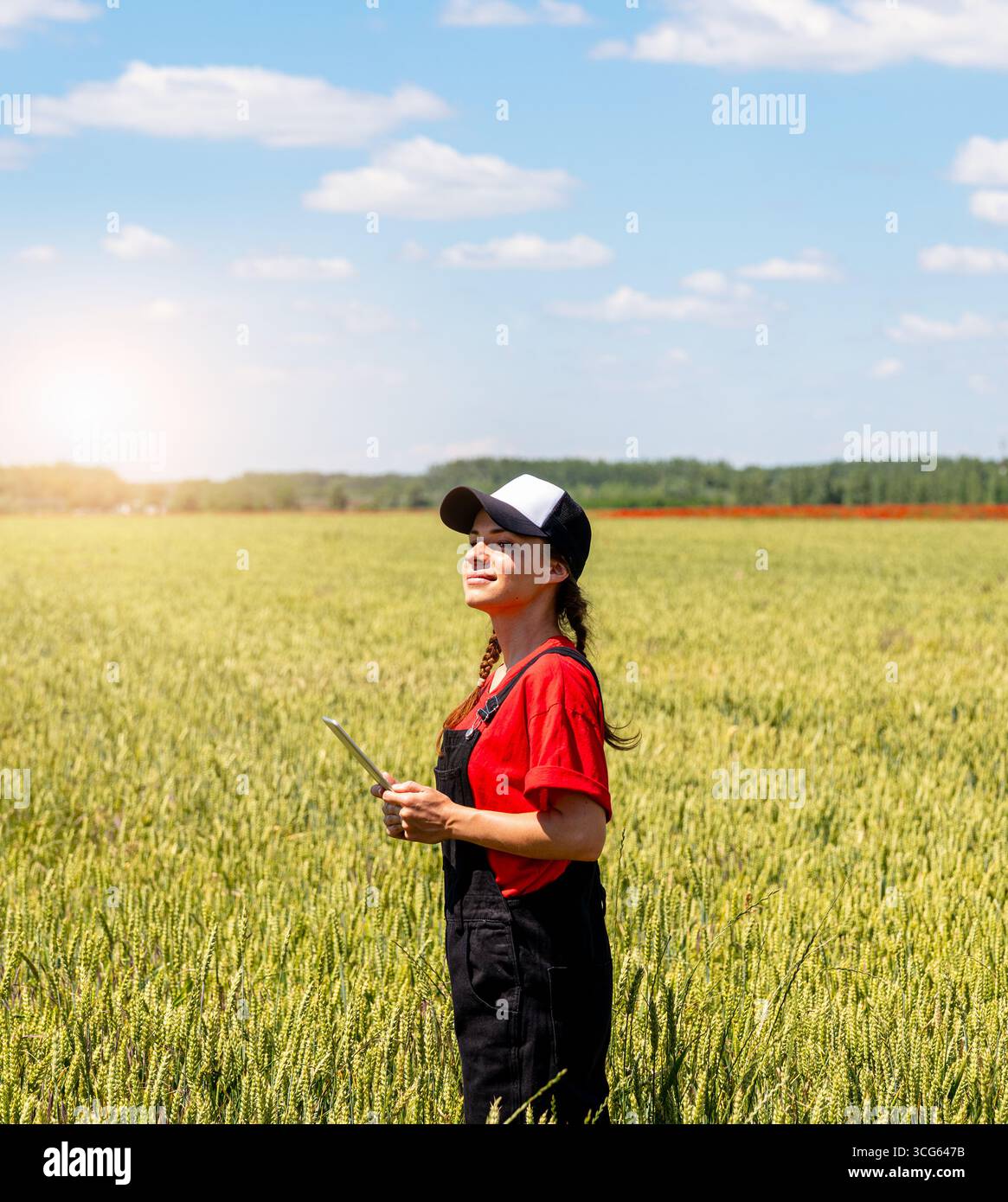 Konzept der nachhaltigen Landwirtschaft mit modernen Landwirtinnen, die Getreidekulturen in Wachstumsphase kontrollieren. Stockfoto