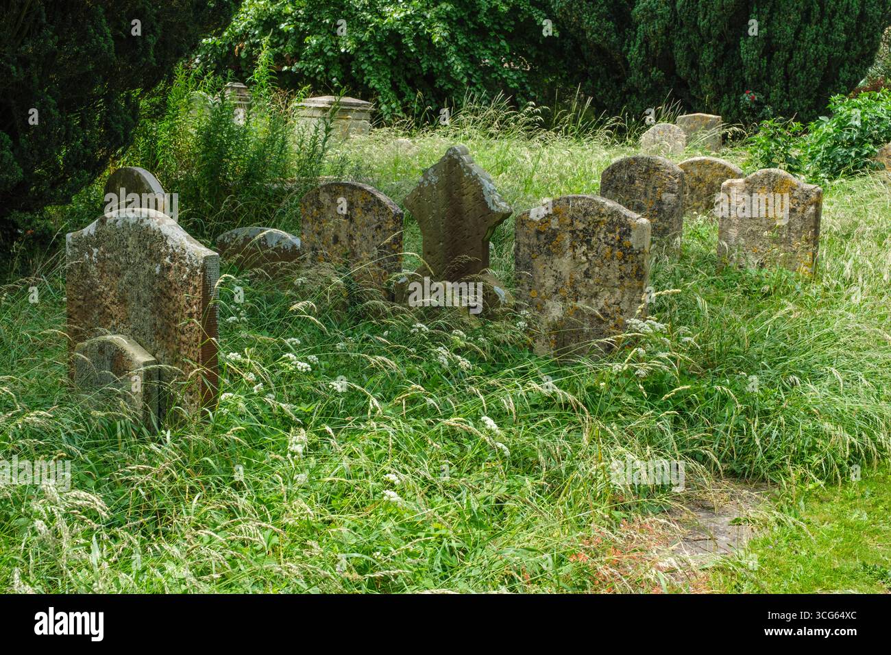 Cirencester, Cotswolds, England, St. John the Baptist Church Cemetery. Der Friedhof wird während des „No Mow May“ nicht gemäht, um Wildblumen zu fördern Stockfoto