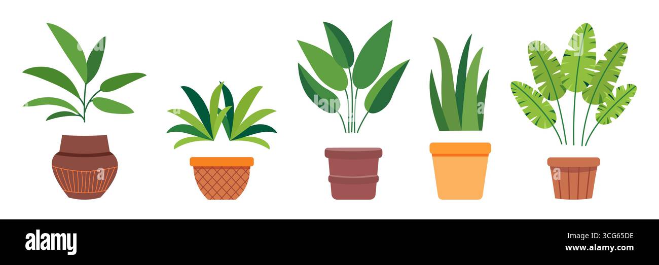 Sammlung von Hauspflanzen im dekorativen Topf. Illustration des flachen Vektors. Grüne Pflanze im Innen- und Außenbereich für gemütliche Dekoration von Haus, Garten, Veranda, B Stock Vektor