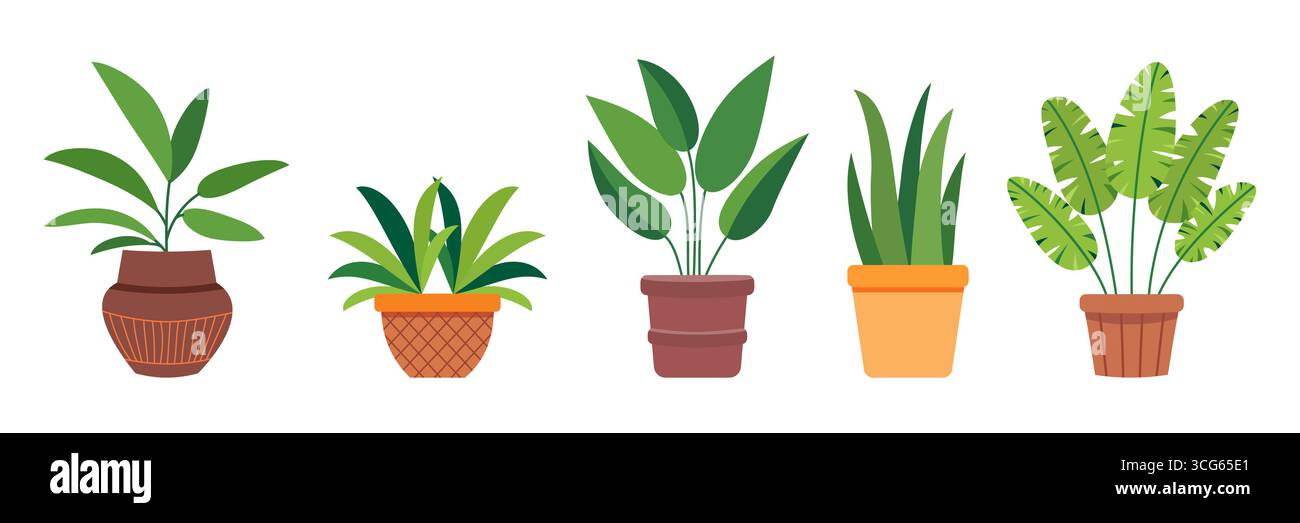 Gruppe grüner Pflanzen im Blumentopf. Einfaches flaches Vektordesign. Topflauge zur Dekoration von Haus, Terrasse, Balkon, Veranda, Terrasse, Garten, Offi Stock Vektor