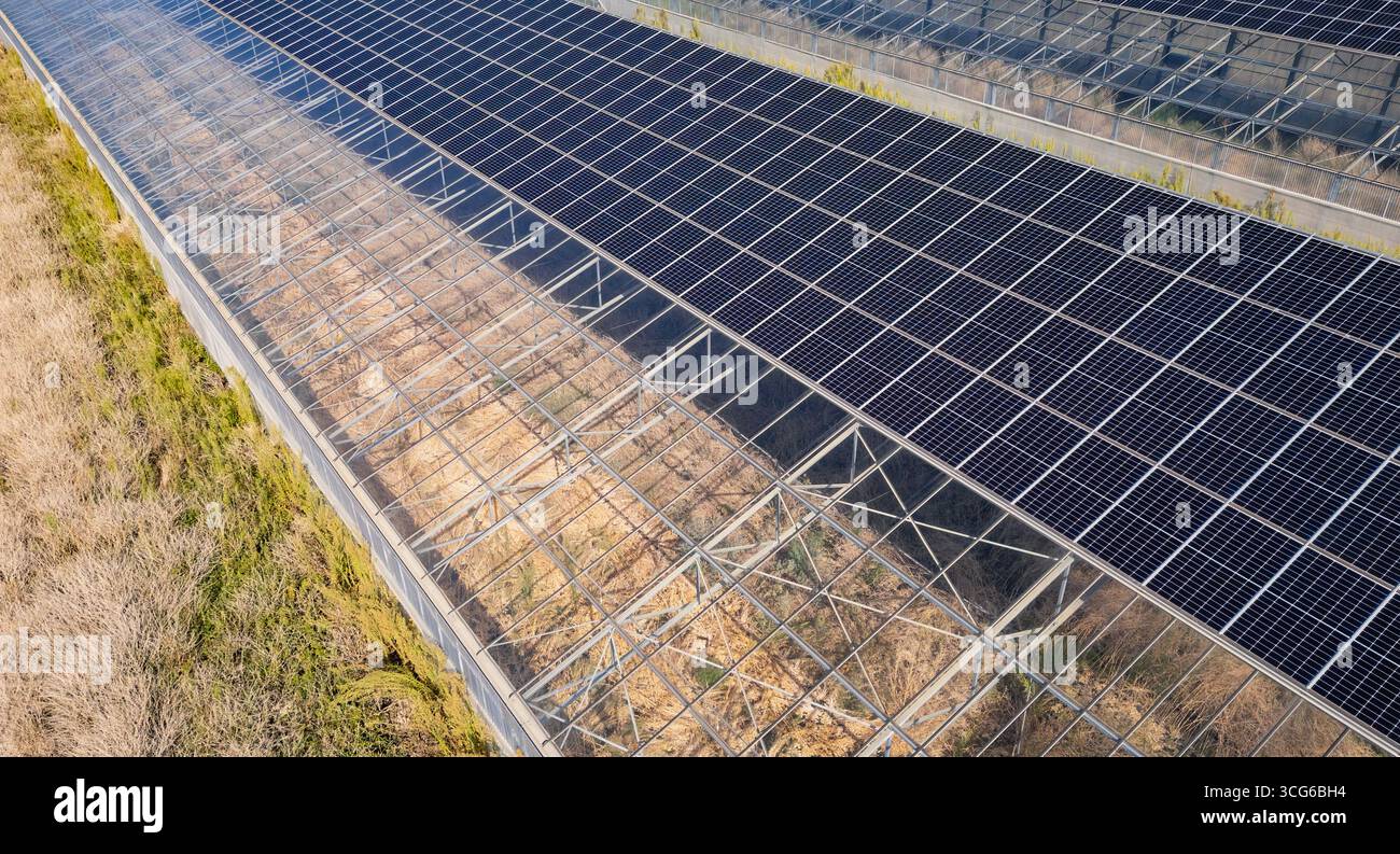 Luftaufnahme moderner Solargewächshäuser mit Photovoltaik-Panels auf Dächern, erneuerbare Energien und nachhaltiges Landwirtschaftskonzept Stockfoto