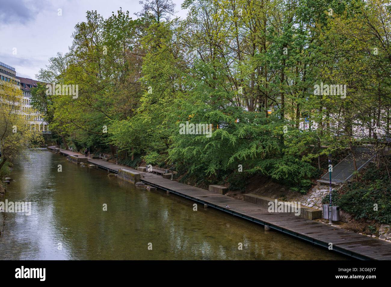 Ein ruhiger Stadtkanal, der Schanzengraben, gesäumt von einer hölzernen Promenade und üppigen grünen Bäumen entlang der Uferpromenade im Zentrum von Zürich, Schweiz Stockfoto