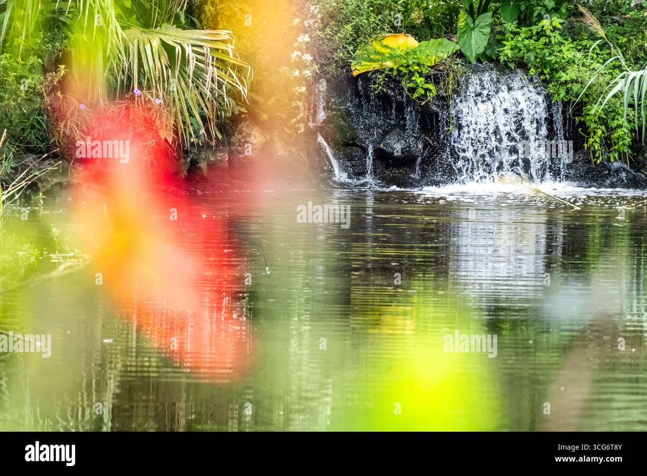 Wasserfall in den Kanapaha Botanical Gardens in Gainesville, Florida. (USA) Stockfoto