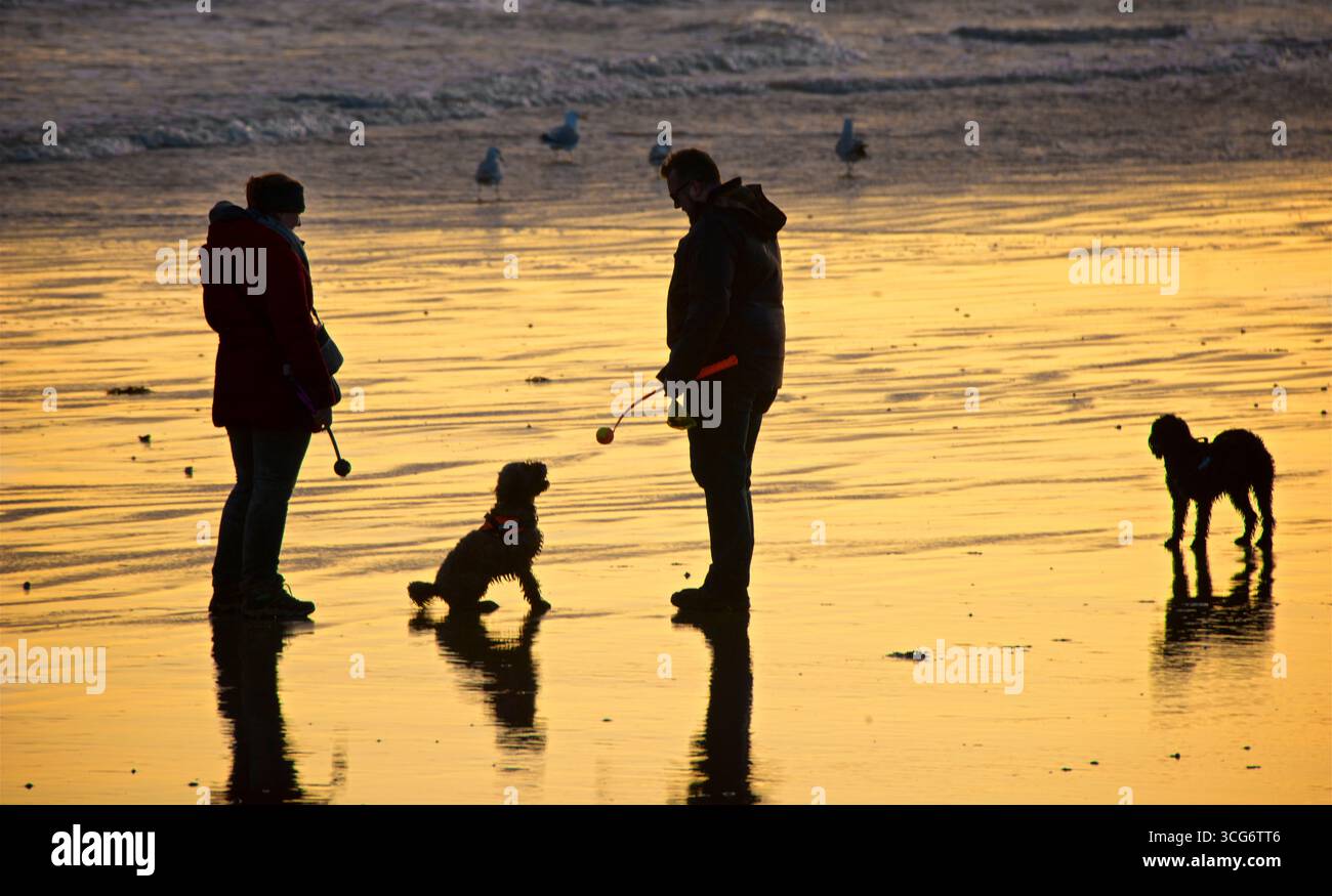 Paare mit Hunden, die die Ebbe bei Sonnenuntergang genießen. Silhouetten von Menschen und Shoreham Power Station in der Ferne. Brighton und Hove, England, Großbritannien Stockfoto