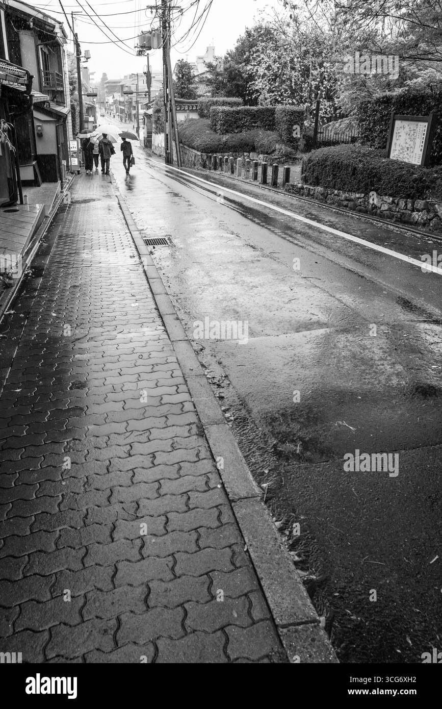 Menschen, die Regenschirme halten, wachen auf einer Wohnstraße mit nassem Pflaster um üppige Bäume in Schwarz-weiß, Jingu-michi, Rinkacho, Higashiyama Stockfoto