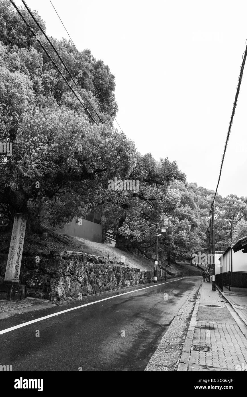 Japanische Wohnstraße mit nassem Bürgersteig nach Regen und umliegenden üppigen Bäumen in Schwarz-weiß, Jingu-michi, Rinkacho, Higashiyama Ward, Kyoto Stockfoto