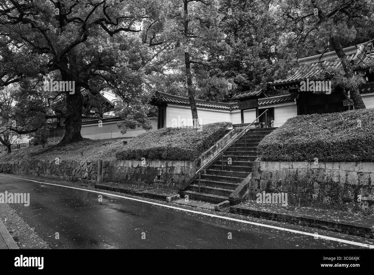 Japanische Wohnstraße mit nassem Bürgersteig nach Regen und umliegenden üppigen Bäumen in Schwarz-weiß, Jingu-michi, Rinkacho, Higashiyama Ward, Kyoto Stockfoto