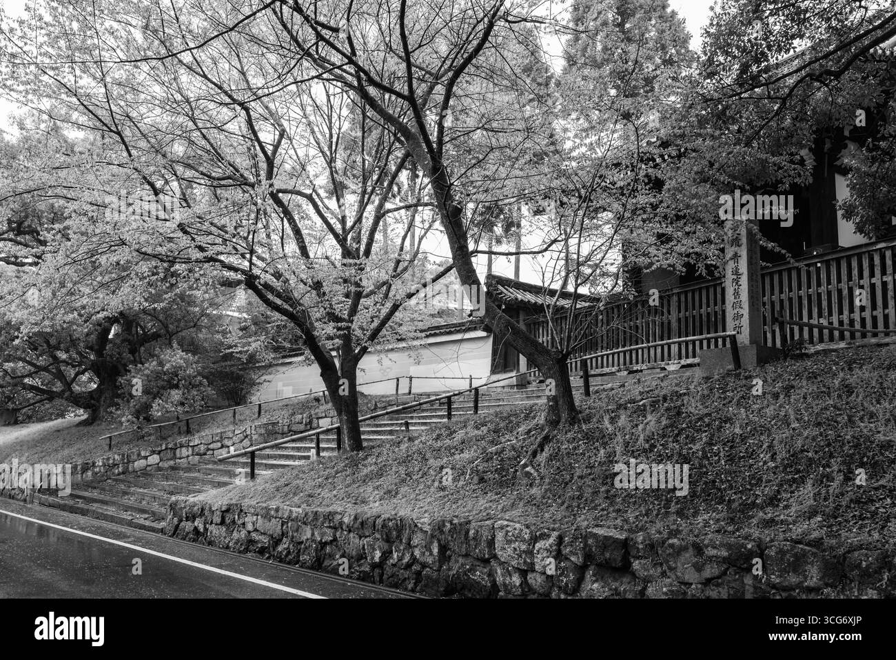 Japanische Wohnstraße mit nassem Bürgersteig nach Regen und umliegenden üppigen Bäumen in Schwarz-weiß, Jingu-michi, Rinkacho, Higashiyama Ward, Kyoto Stockfoto