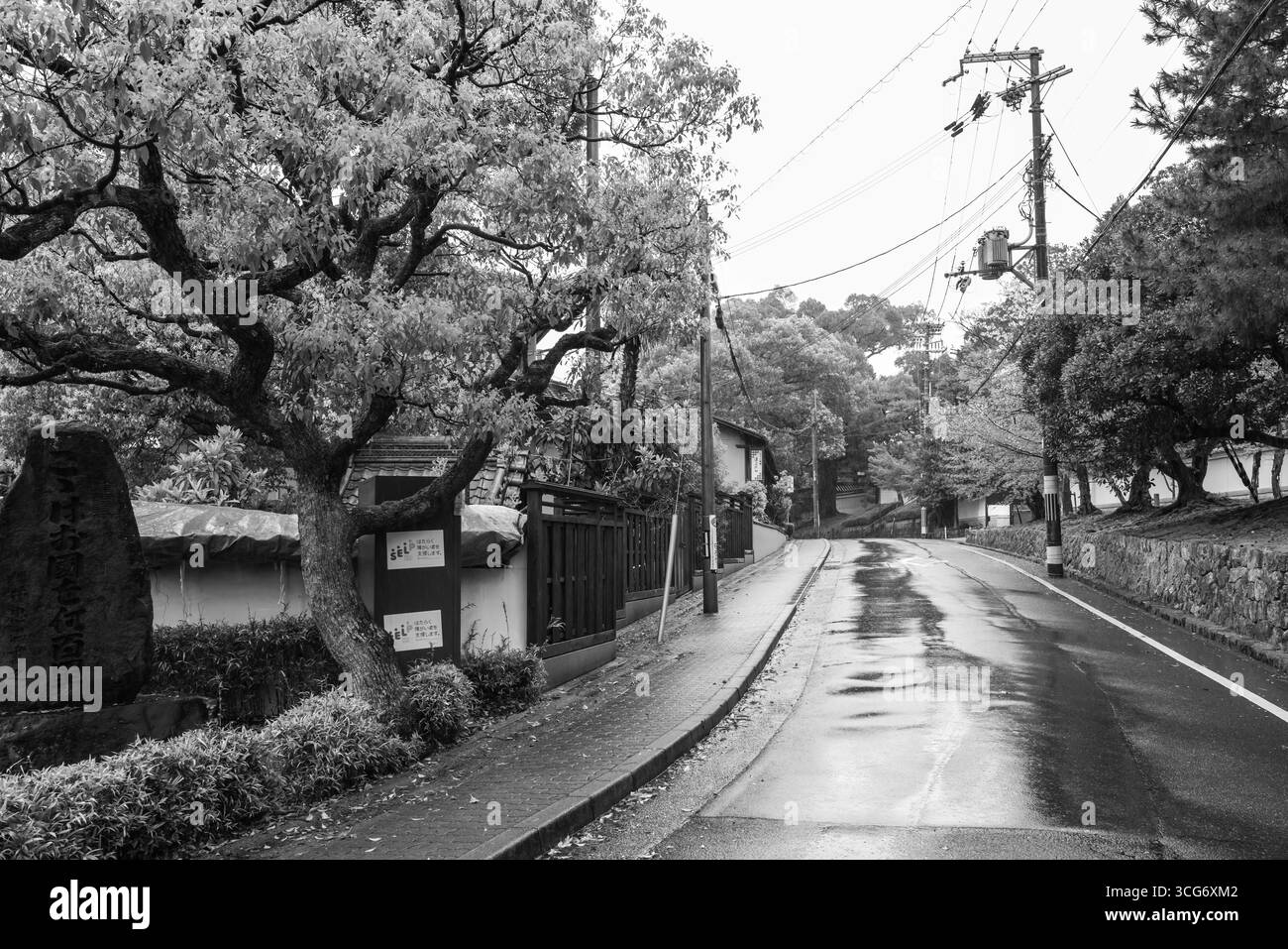 Japanische Wohnstraße mit nassem Bürgersteig nach Regen und umliegenden üppigen Bäumen in Schwarz-weiß, Jingu-michi, Rinkacho, Higashiyama Ward, Kyoto Stockfoto