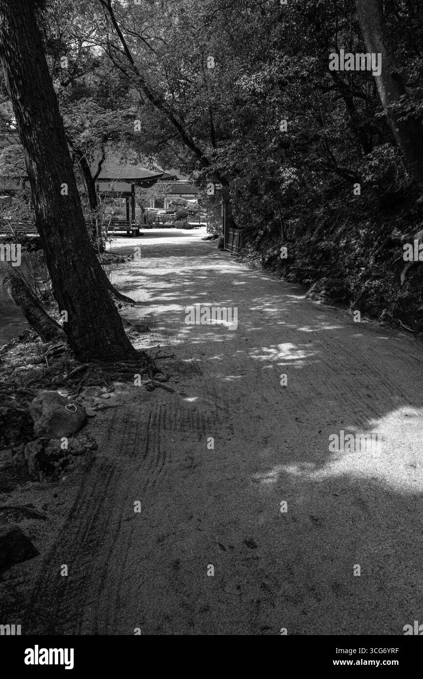 Ein ruhiger, von Bäumen umhüllter Weg führt zu einem traditionellen Holzeingang, der in monochromer Form dargestellt ist und eine ruhige und nostalgische Umgebung mit einem zeigt Stockfoto