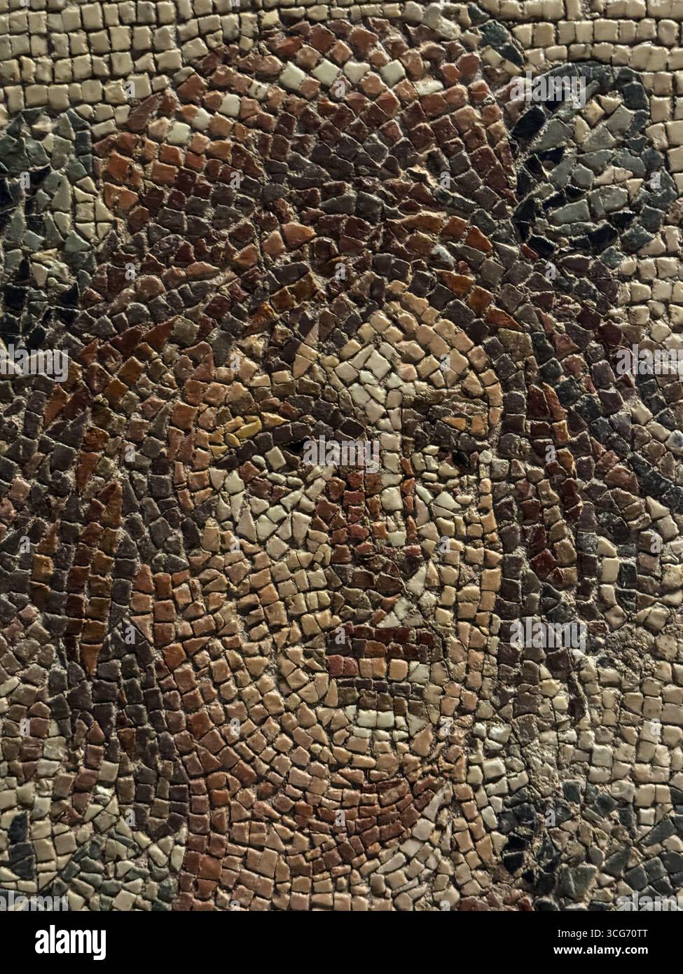 Gaziantep, Türkei, Turkiye. Zeugma Mosaic Museum, Mosaic Portrait. Stockfoto