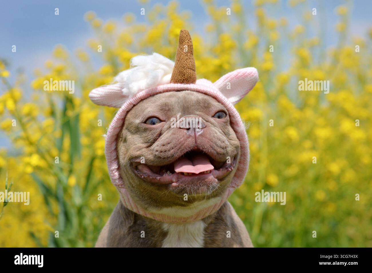 Süßer französischer Bulldog mit lustigem rosa Einhorn-Stirnband vor verschwommenen gelben Blumen Stockfoto