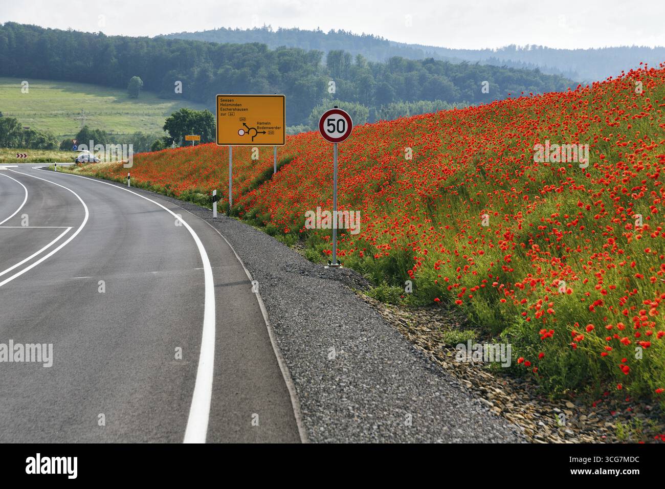 Leere Bundesstraße B 240, wenig Verkehr, Verkehrszeichen, Tempolimit 50 km/h, Mohnblüte am Straßenrand, Eschershausen, Weserbergland, Holzminden Stockfoto