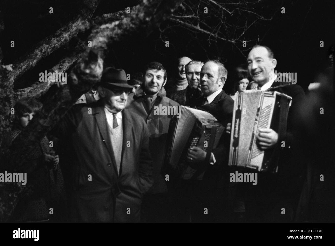 Das Apfelbaum-Somerset zu erobern. Wassailers singen das Wassail-Lied Musiker spielen das Akkordeon. Carhampton, Somerset, England, 1972 1970er Jahre, UK HOMER SYKES Stockfoto