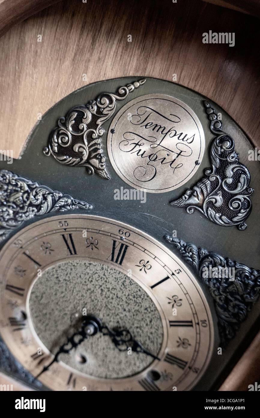 Vintage-Großvateruhr mit dem lateinischen Idiom „tempus fugit“, „Time Flies“, USA Stockfoto
