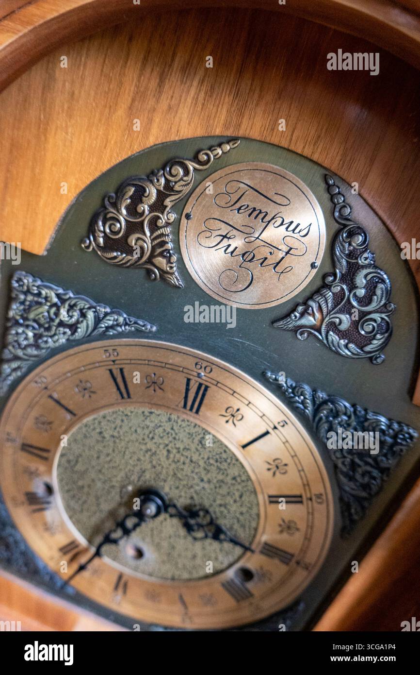 Vintage-Großvateruhr mit dem lateinischen Idiom „tempus fugit“, „Time Flies“, USA Stockfoto