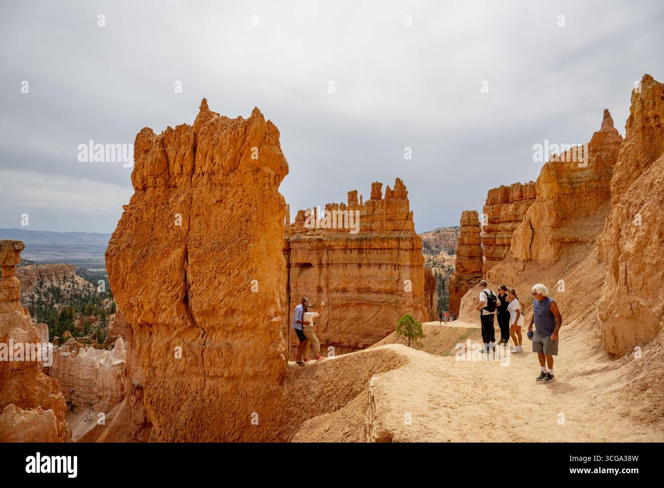 AMERIKA - Bryce Canyon ist ein Nationalpark im Südwesten der Vereinigten Staaten von Utah. Bryce Canyon ist berühmt für seine einzigartigen geologischen Felsformationen. Die kombinierten Kräfte des Einfrierens und Auftauens erodieren langsam die Kalkstein- und Sandsteinformationen und bilden so sogenannte Hoodoos. ANP /HOLLANDSE HOOGTE /ROBIN UTRECHT niederlande Out - belgien Out Stockfoto