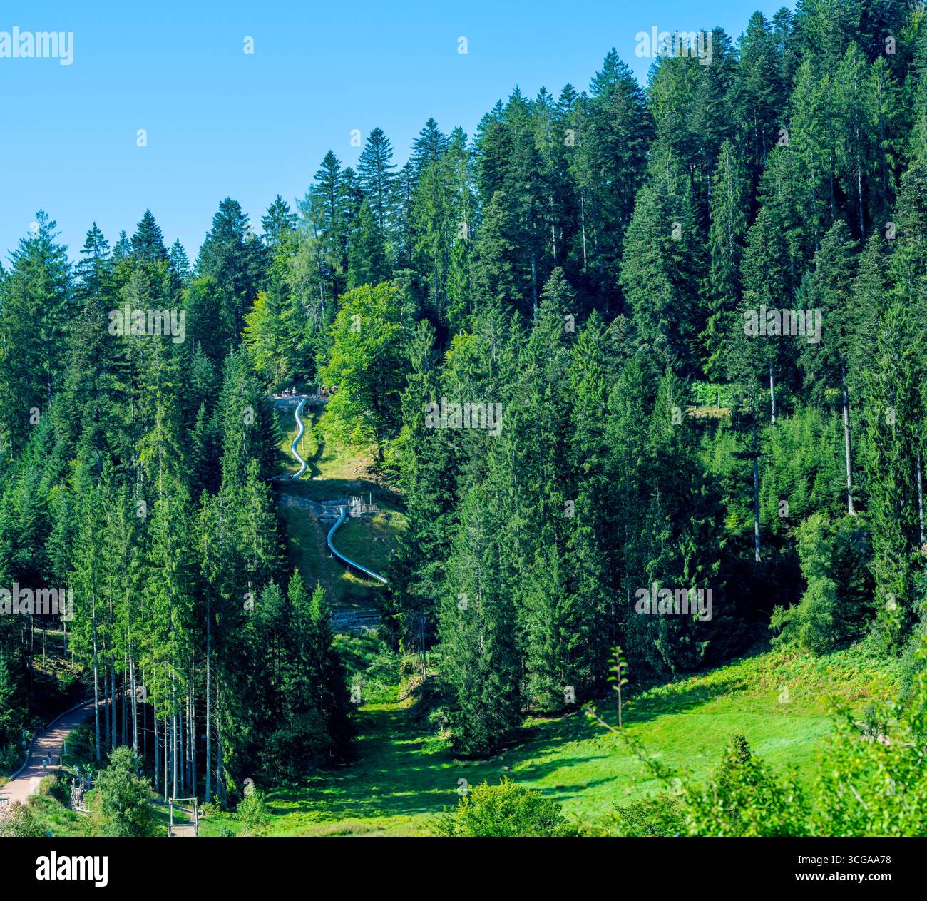 Die Riesenrutsche bei Freudenstadt. Spaß für Jung und Alt. Freudenstadt, Nordschwarzwald, Baden-Württemberg, Deutschland Stockfoto