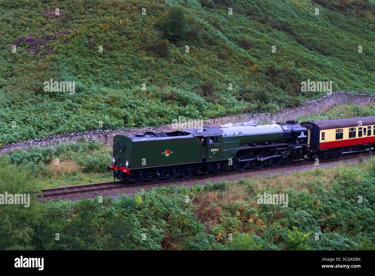 LNER Peppercorn Klasse A1 60163 Tornado Stockfoto