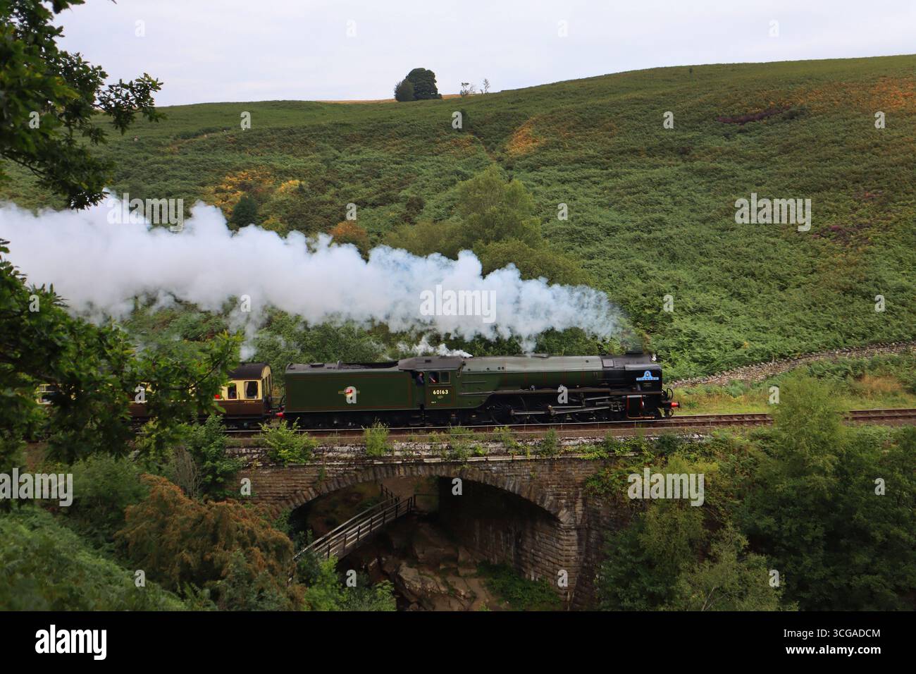 LNER Peppercorn Klasse A1 60163 Tornado Stockfoto