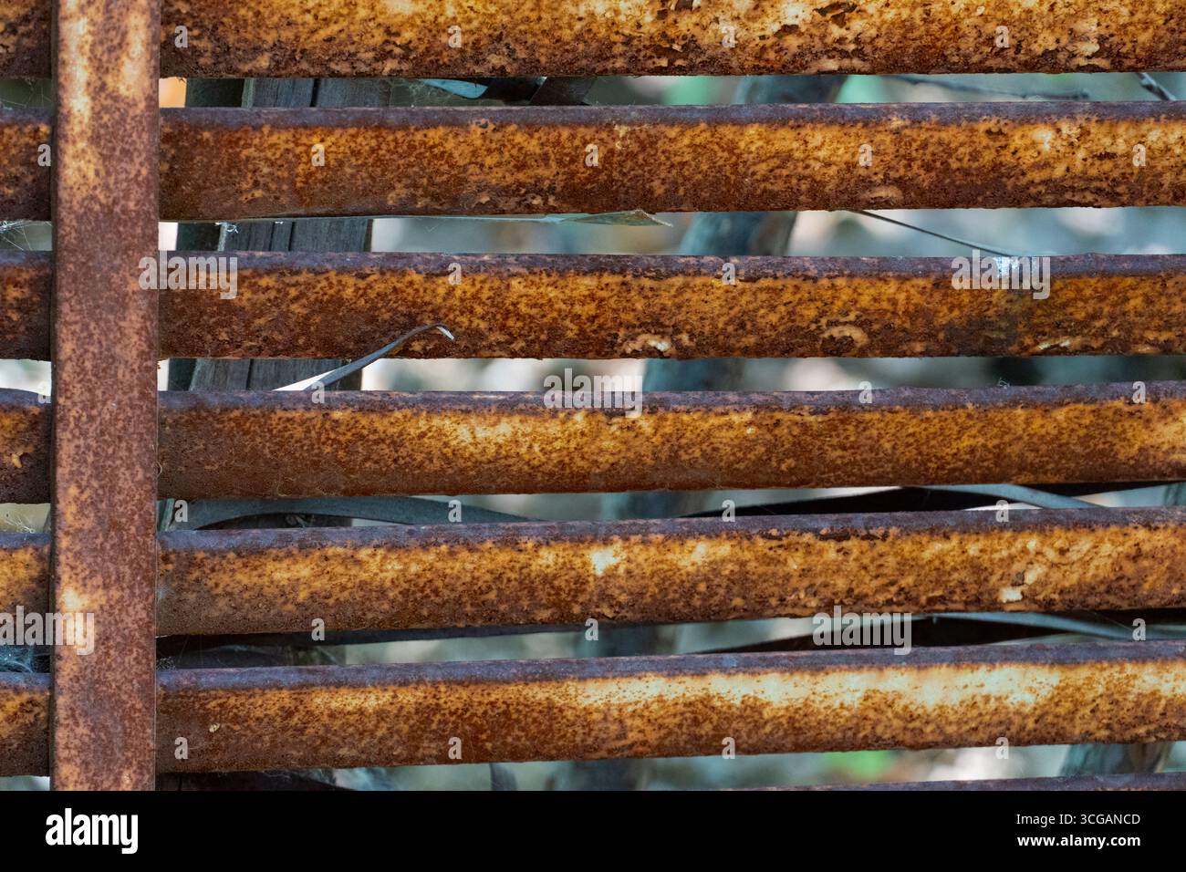 Nahaufnahme eines korrodierten Metallrostes mit rötlich-braunem Rost und trockenen Pflanzenstielen, perfekt für industrielle oder verfallene Designs Stockfoto
