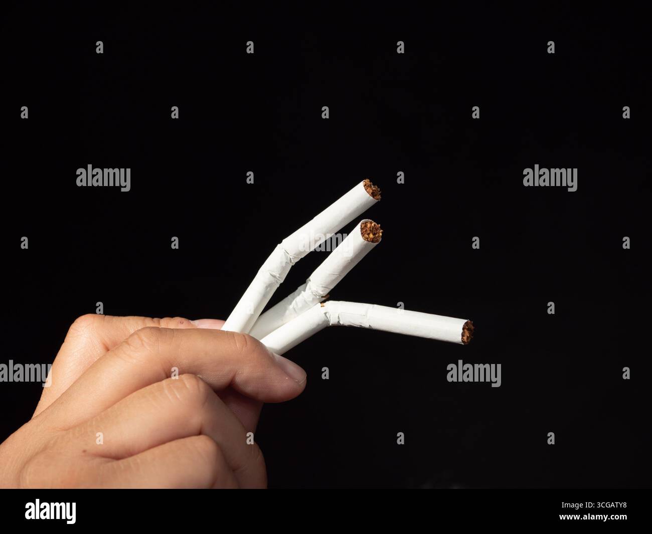 Eine Hand hält mehrere zerbrochene Zigaretten vor dunklem Hintergrund, was das Aufhören oder das Rauchen symbolisiert. Stockfoto