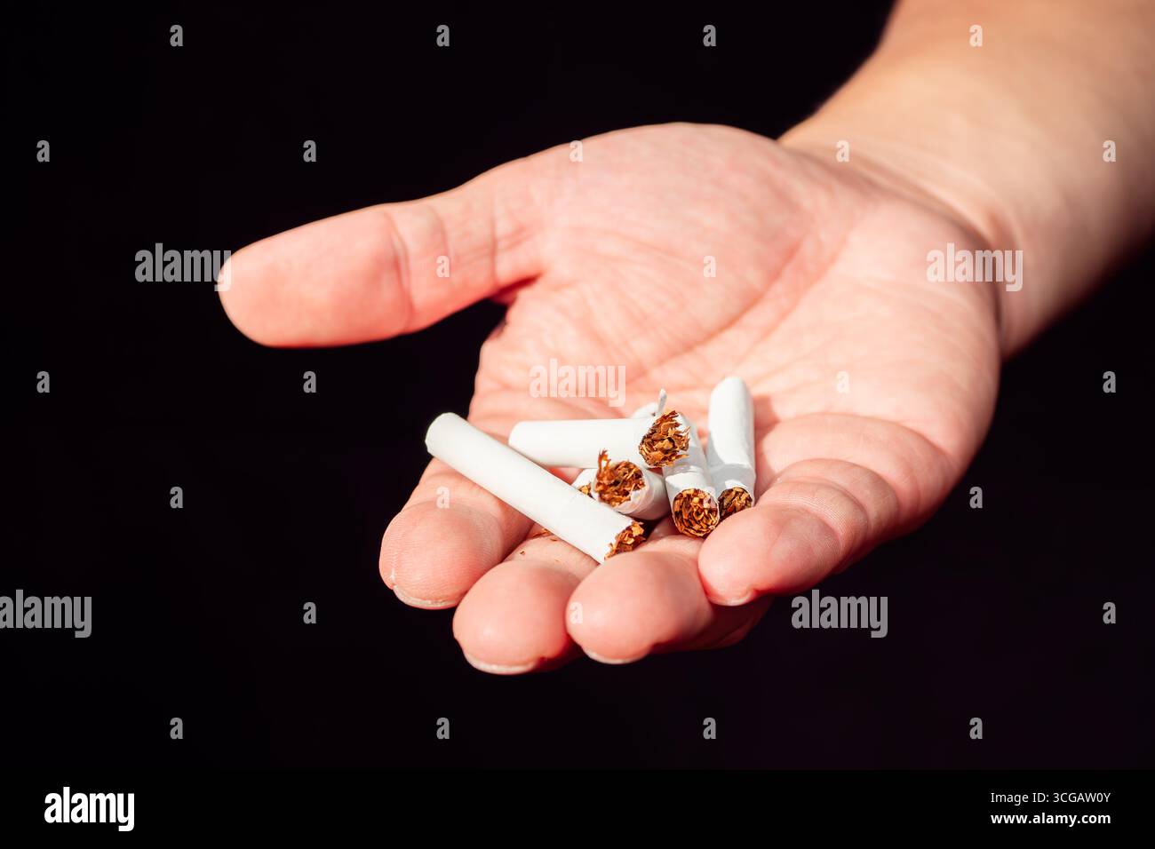 Eine Hand hält mehrere zerbrochene Zigaretten vor dunklem Hintergrund, was das Aufhören oder das Rauchen symbolisiert. Stockfoto