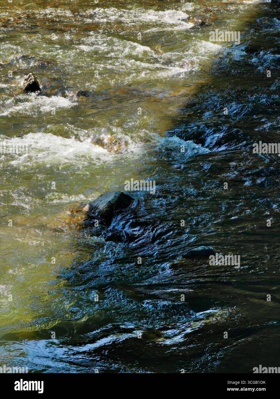 Fluss Fluss . Schatten und Sonnenlicht. Stockfoto