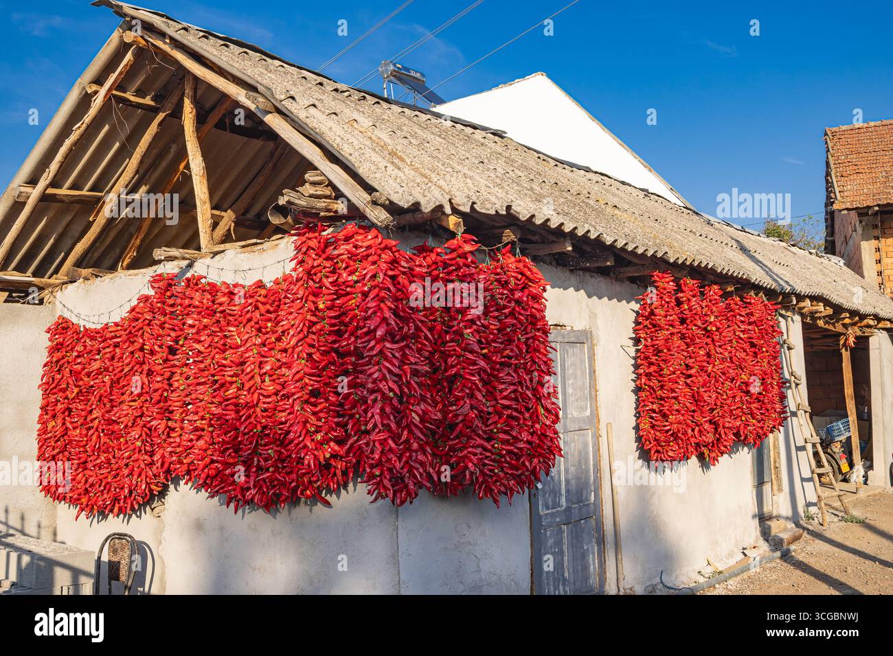 Koreshnica, Demir Kapija, Vardar, Nordmazedonien. Stiche von roten Chilischoten hängen in der Sonne zum Trocknen. Stockfoto