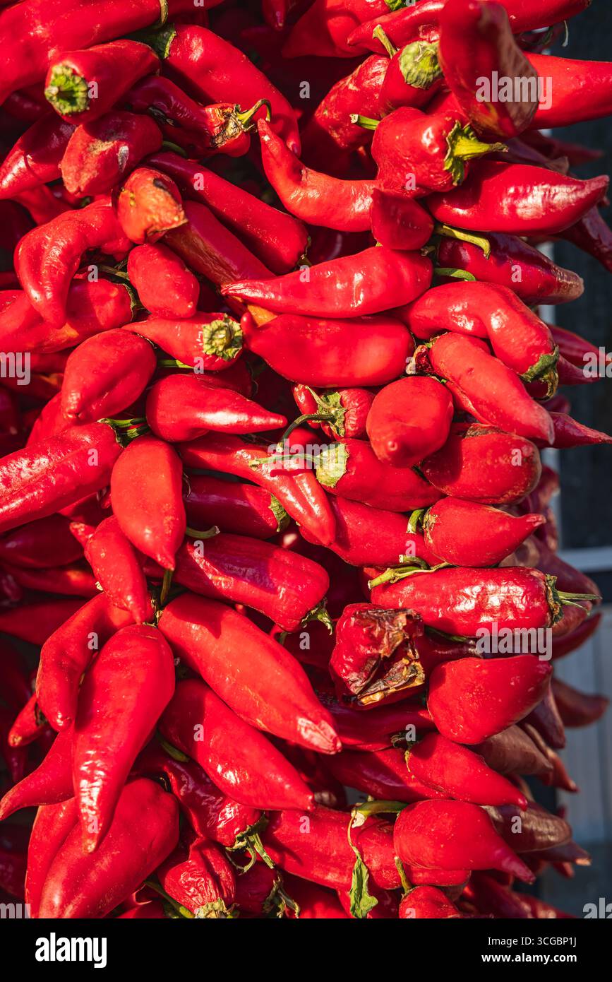Koreshnica, Demir Kapija, Vardar, Nordmazedonien. Stiche von roten Chilischoten hängen in der Sonne zum Trocknen. Stockfoto