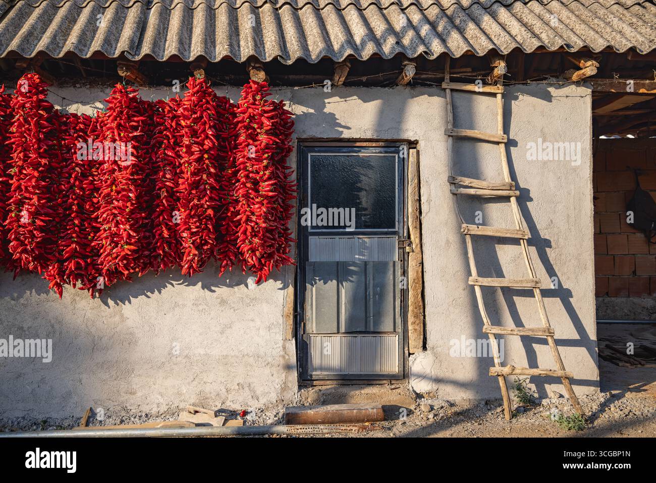 Koreshnica, Demir Kapija, Vardar, Nordmazedonien. Stiche von roten Chilischoten hängen in der Sonne zum Trocknen. Stockfoto