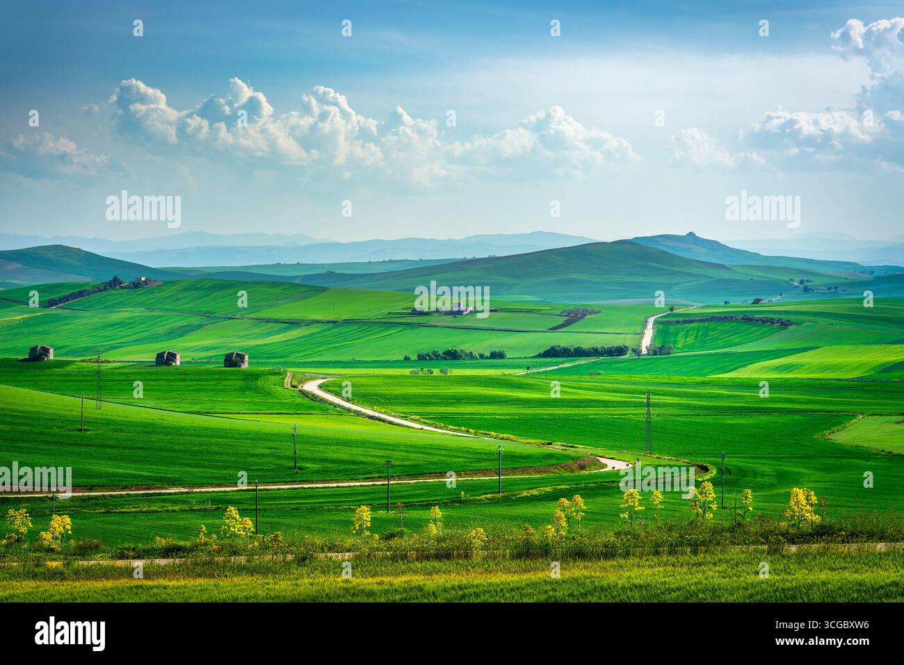 Apulien Landschaft, Blick auf sanfte Hügel und eine Straße in der Nähe von Poggiorsini. Grüne Felder im Frühling. Provinz Bari, Italien Stockfoto