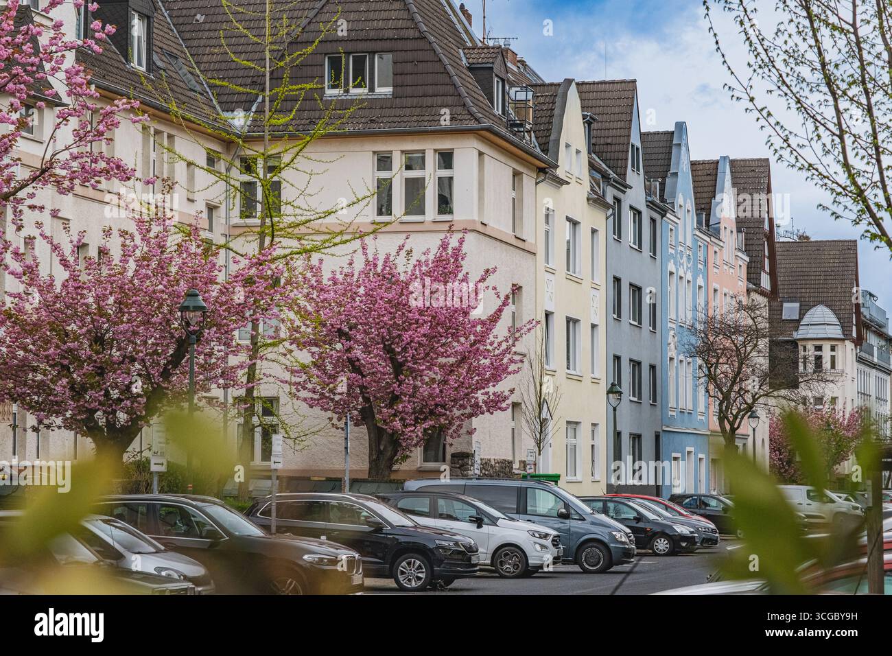 Schöne und ruhige Aussicht auf die klassische europäische Straße (Ruhrtalstraße, Düsseldorf) mit blühenden Bäumen im Frühling Stockfoto