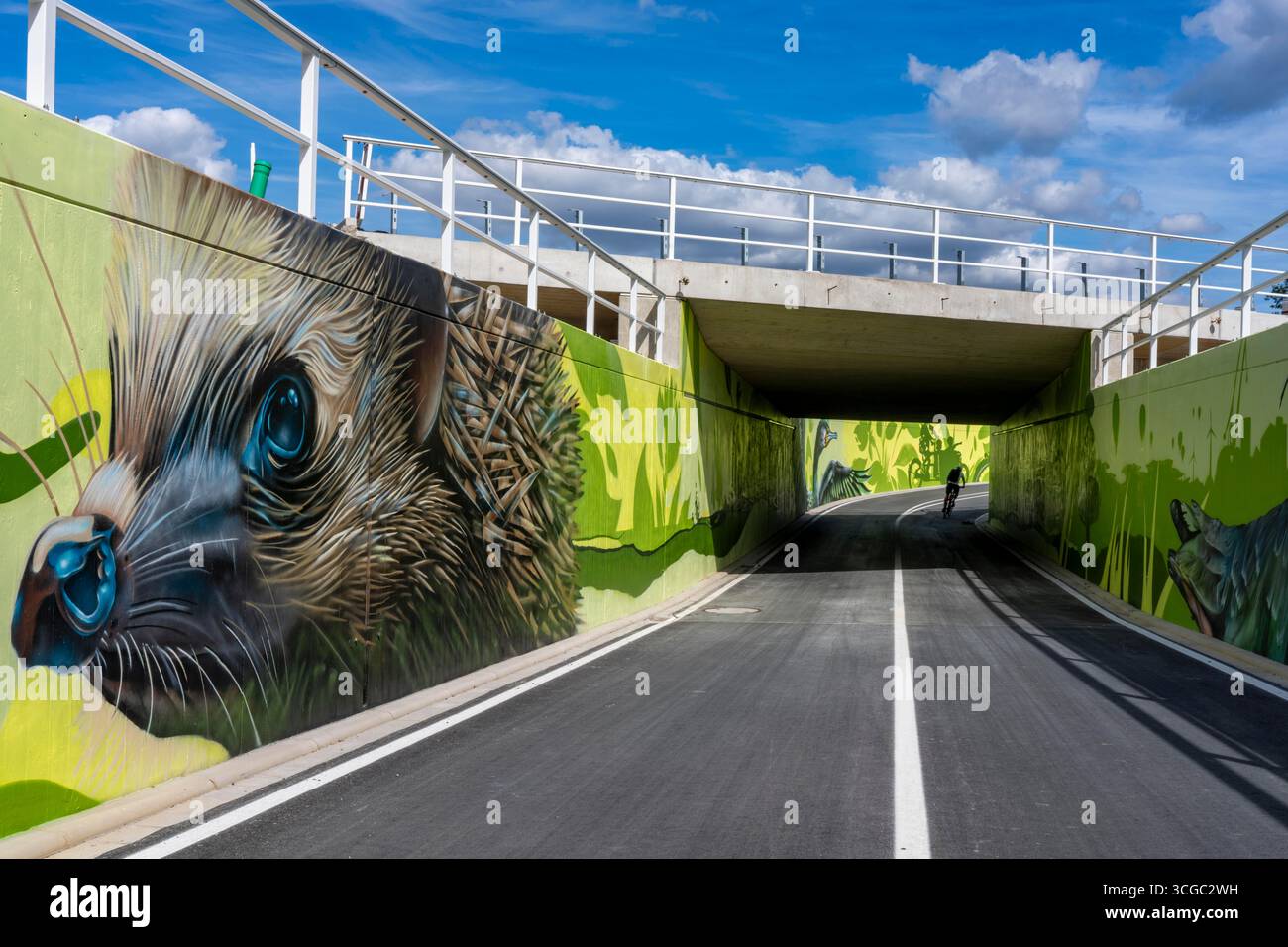Neuer Fahrradtunnel an der Kreuzung von B51 und Warendorfer Straße in Münster, ein Fahrrad- und Fußgängertunnel, 150 Meter lang, 5,50 Meter breit Stockfoto