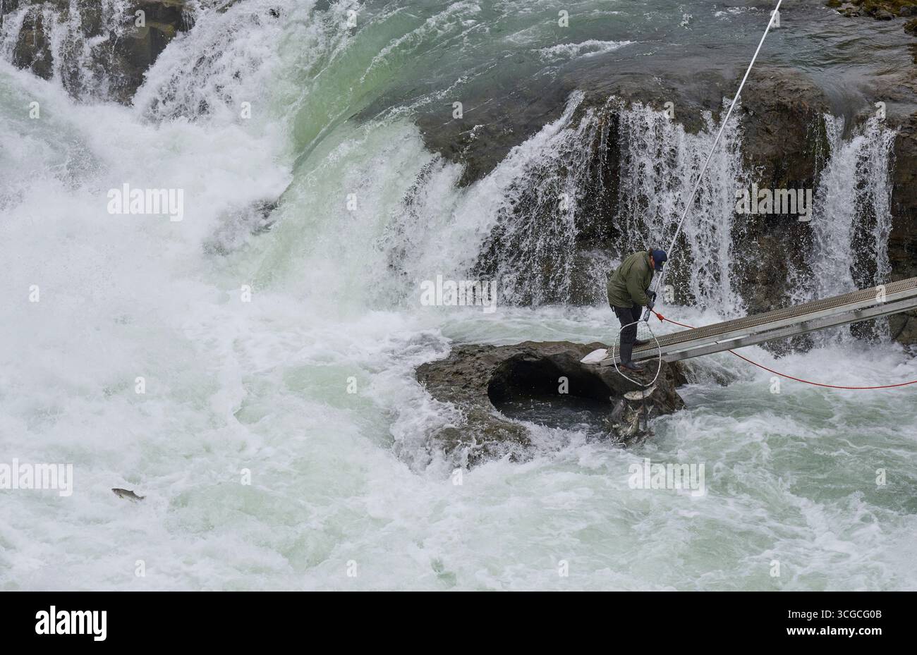 Ein Mitglied der Wet’suewet’en First Nation verwendet ein Dipnet - die traditionelle Methode des Landes -, um in Witset, British Columbia, Kanada, Lachse zu fischen. Stockfoto