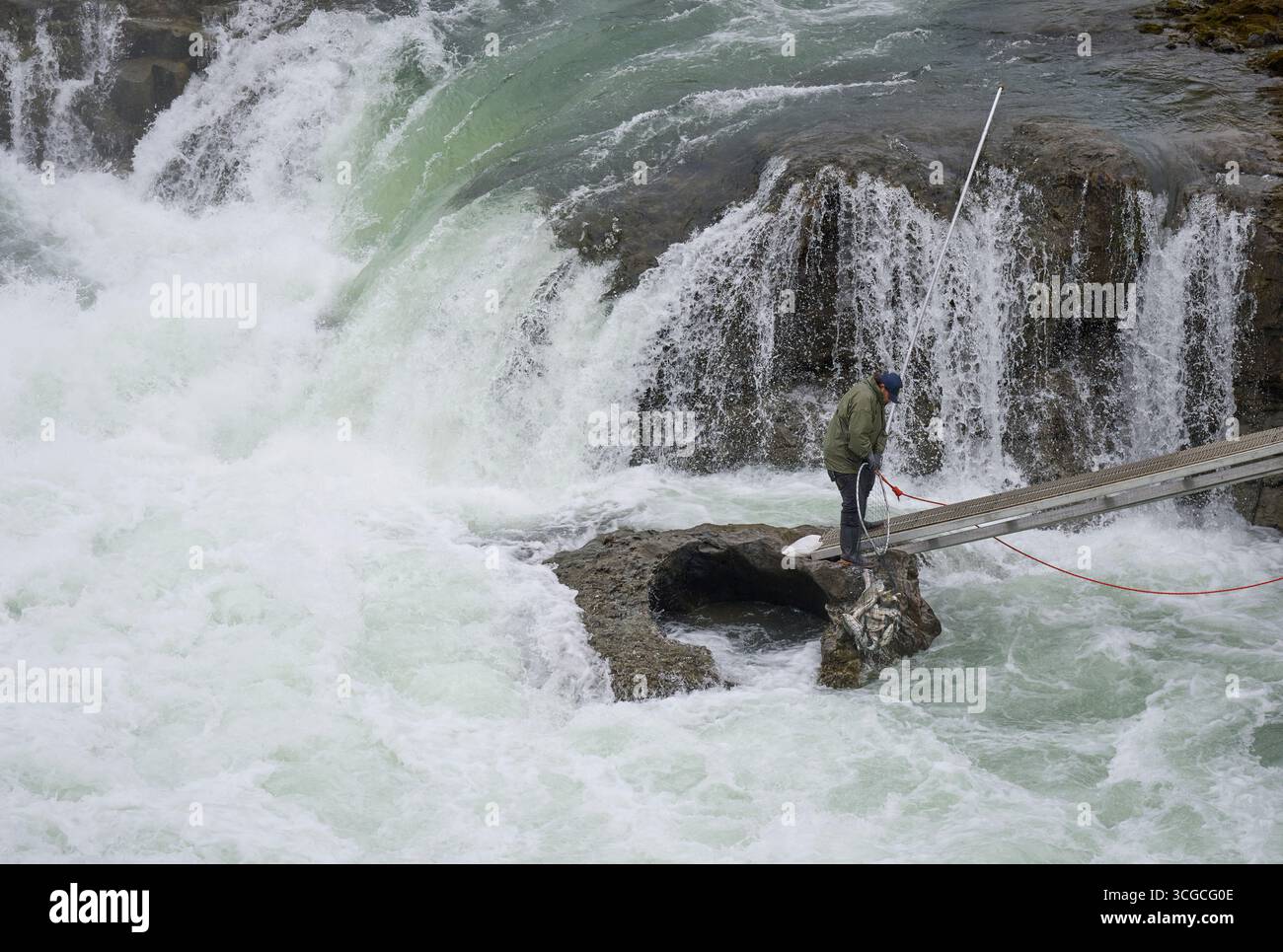 Ein Mitglied der Wet’suewet’en First Nation verwendet ein Dipnet - die traditionelle Methode des Landes -, um in Witset, British Columbia, Kanada, Lachse zu fischen. Stockfoto