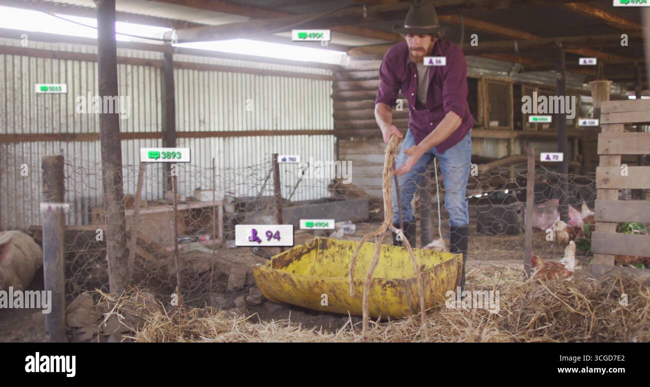 Erwachsener männlicher Landwirt, der Wurzeln in einer rustikalen Scheune, mit gelbem Trog und Hühnern, Kopierraum bearbeitet Stockfoto